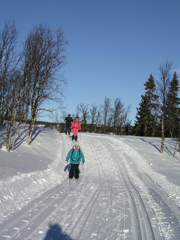 Birkelund * Geilo